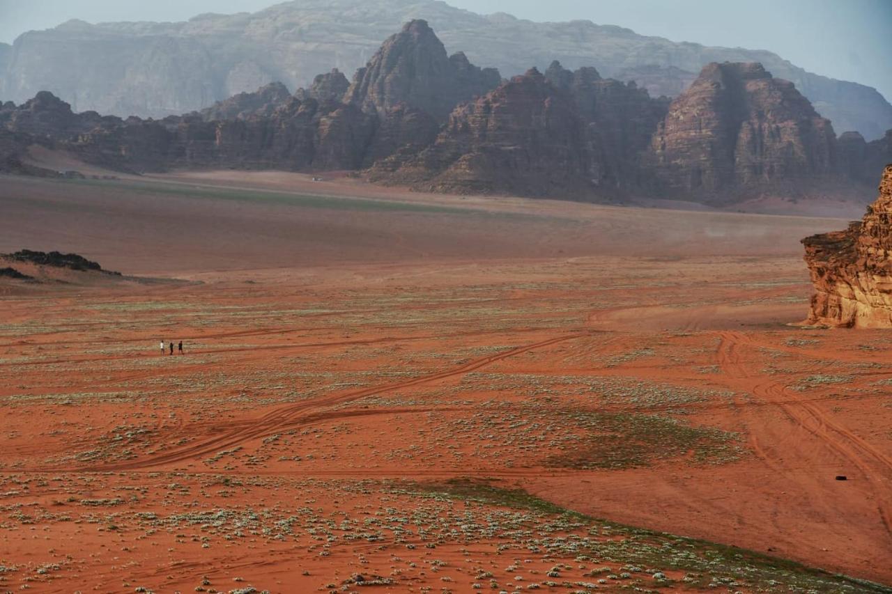 Art Camp Wadi Rum Exterior photo